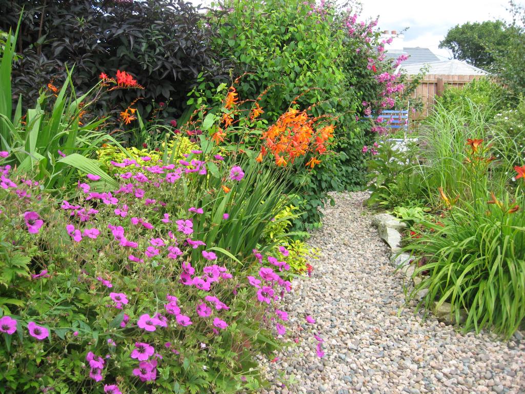 The Healing Power of&nbsp;Gardening