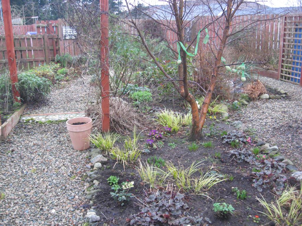 The Garden in January&nbsp;2017