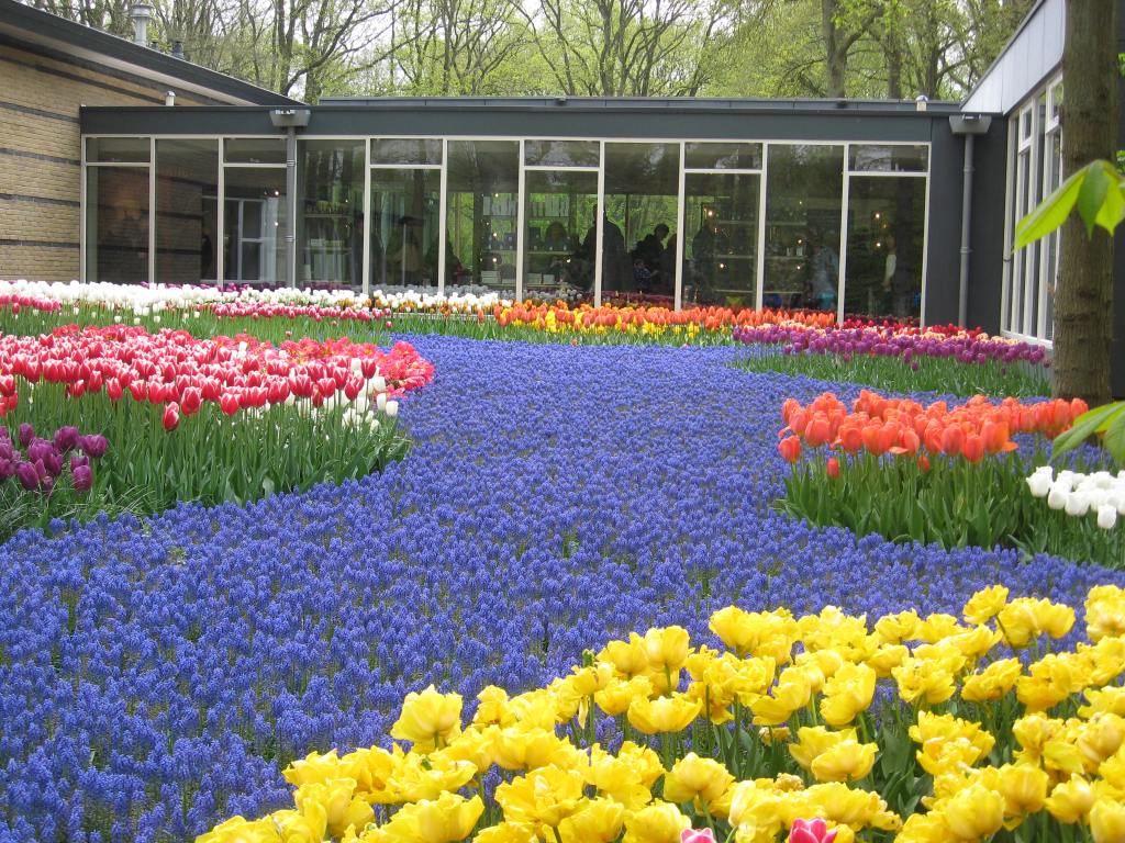The Keukenhof Gardens#1