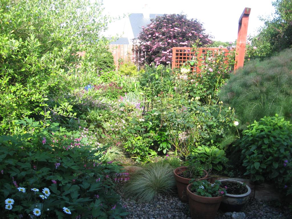 The Garden in May&nbsp;2017