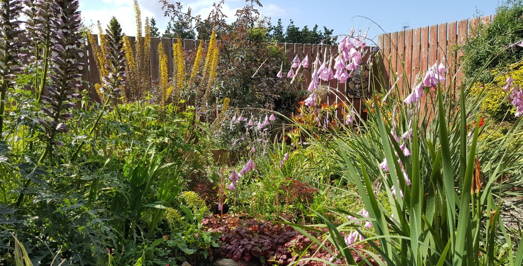 The Garden in July and August&nbsp;2017