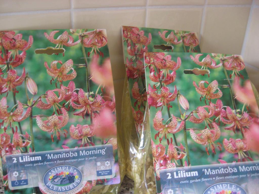 Planting Bulbs for Spring and&nbsp;Summer
