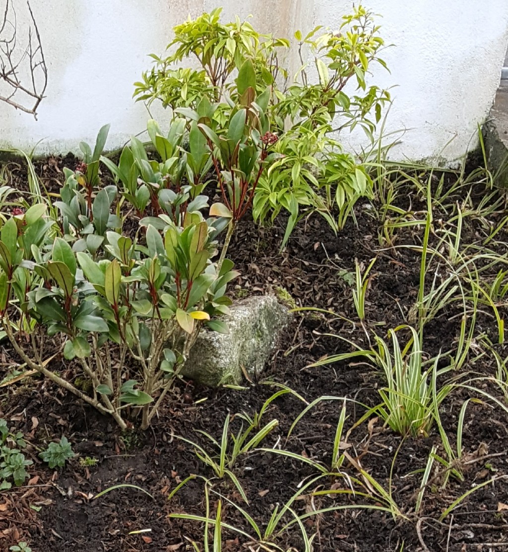 The Garden in November&nbsp;2017