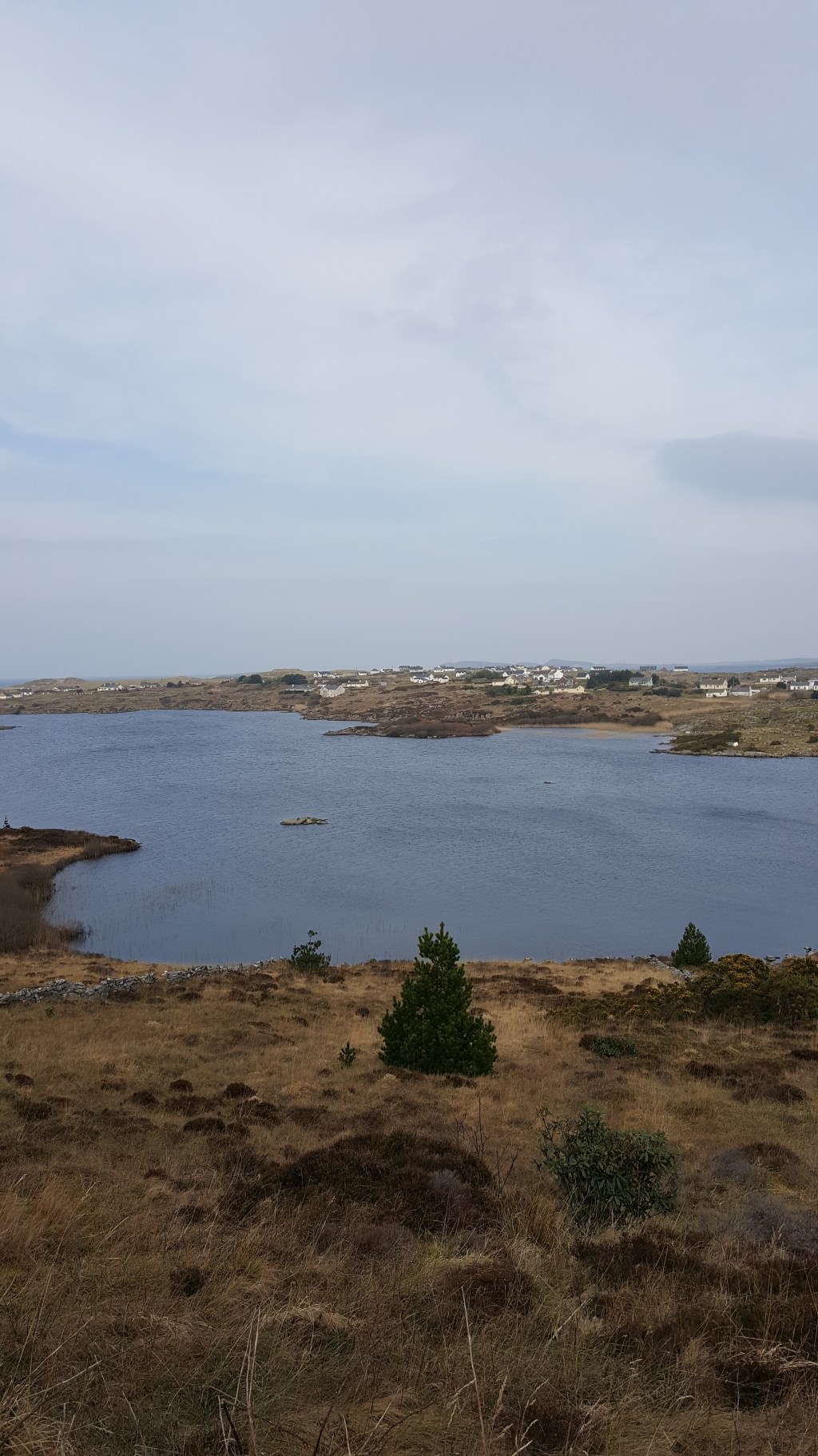 The Wild Atlantic Way – A Spring Walk in&nbsp;Mullaghduff