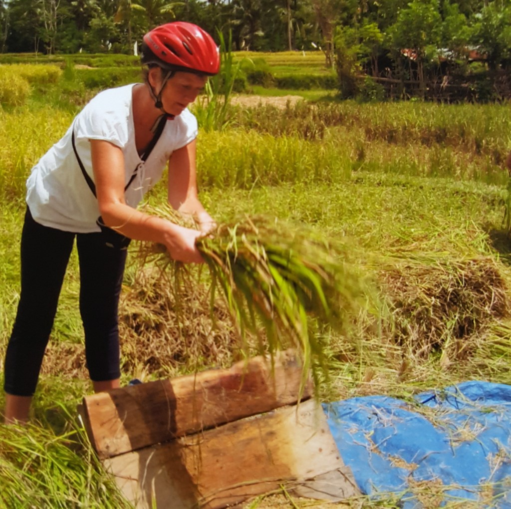 Downhill on a Bike in&nbsp;Bali
