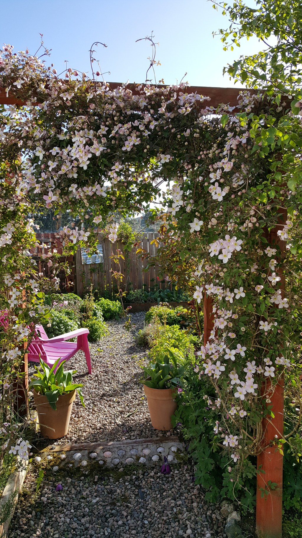 The Garden in May&nbsp;2018