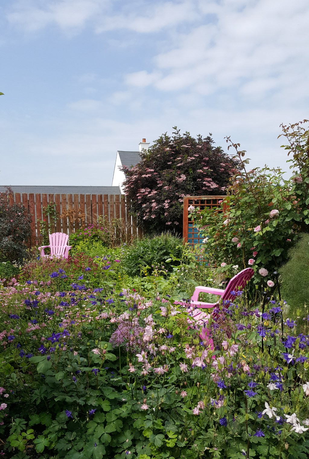 The Garden in June&nbsp;2018