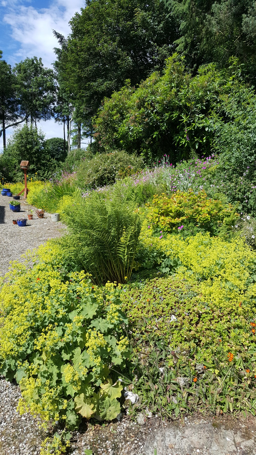 Mrs Jessie Mahaffy’s&nbsp;Garden