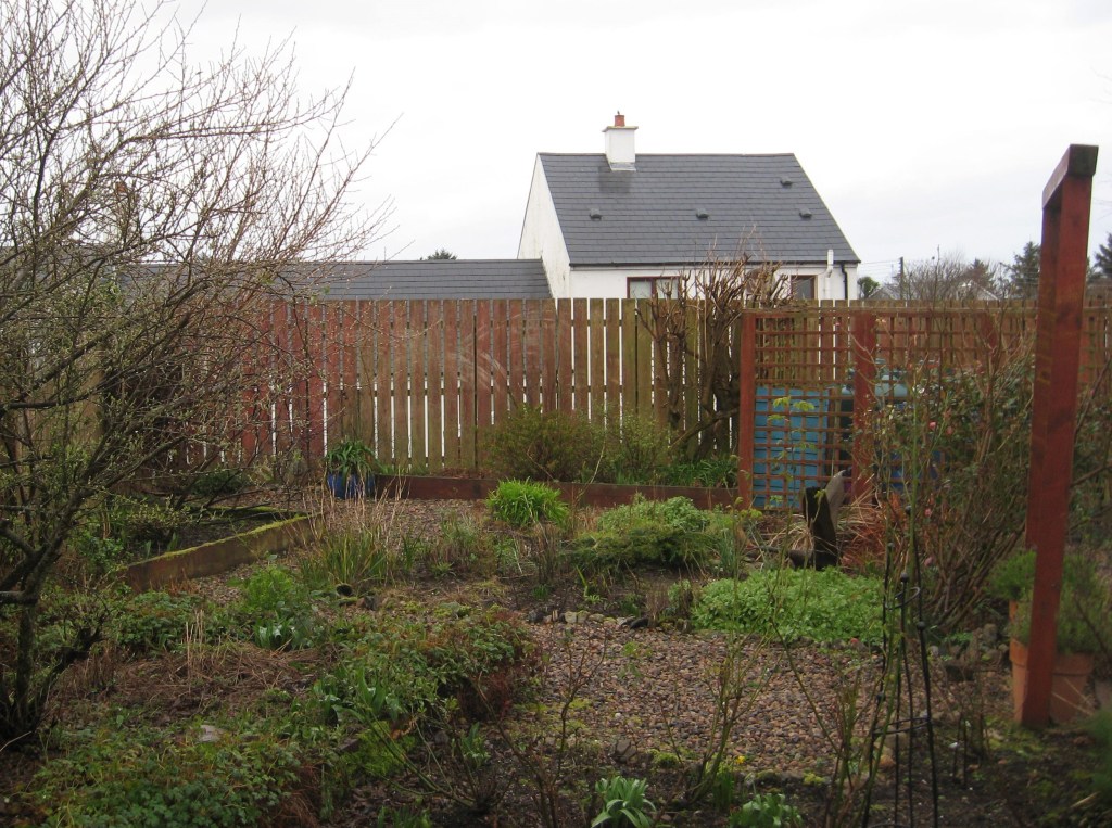 My Donegal Garden Awakens to the Joy of&nbsp;Spring
