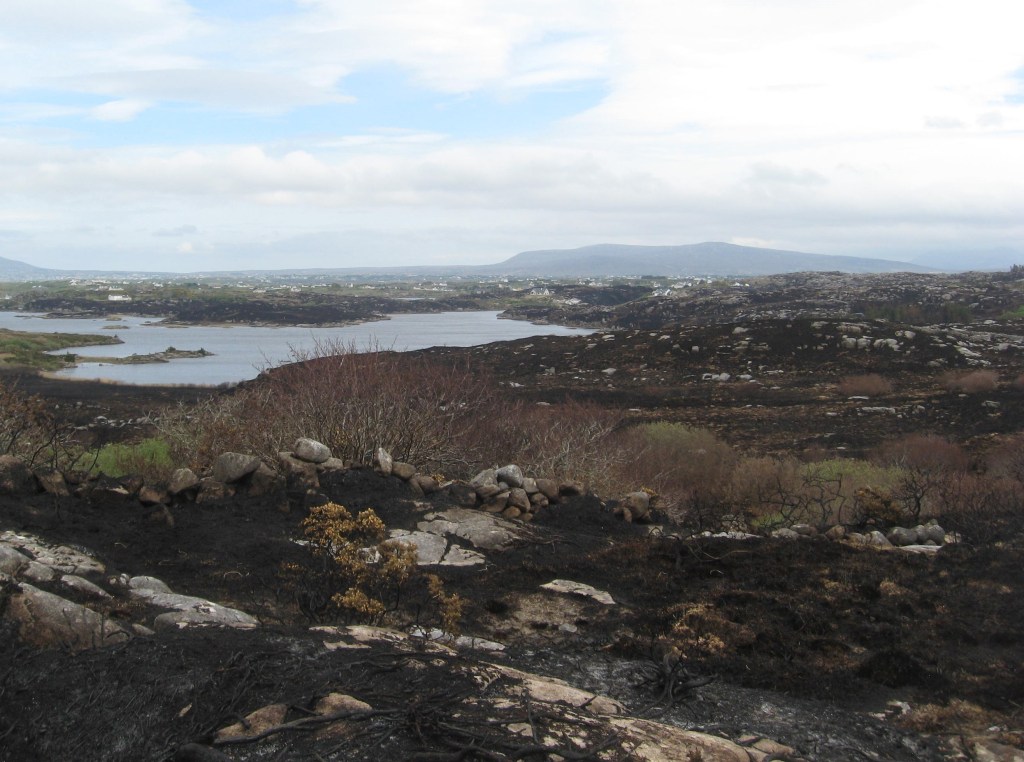 Massive Destruction of Donegal Wildlife on World Earth&nbsp;Day