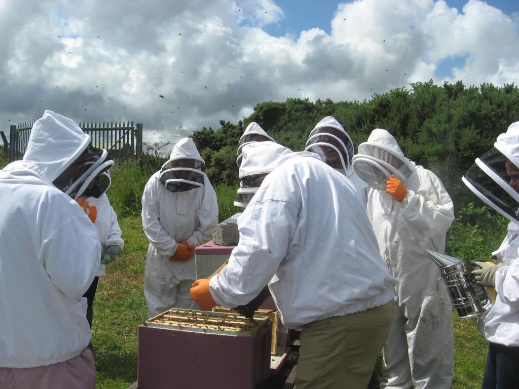 An Inspiring Introduction to&nbsp;Beekeeping