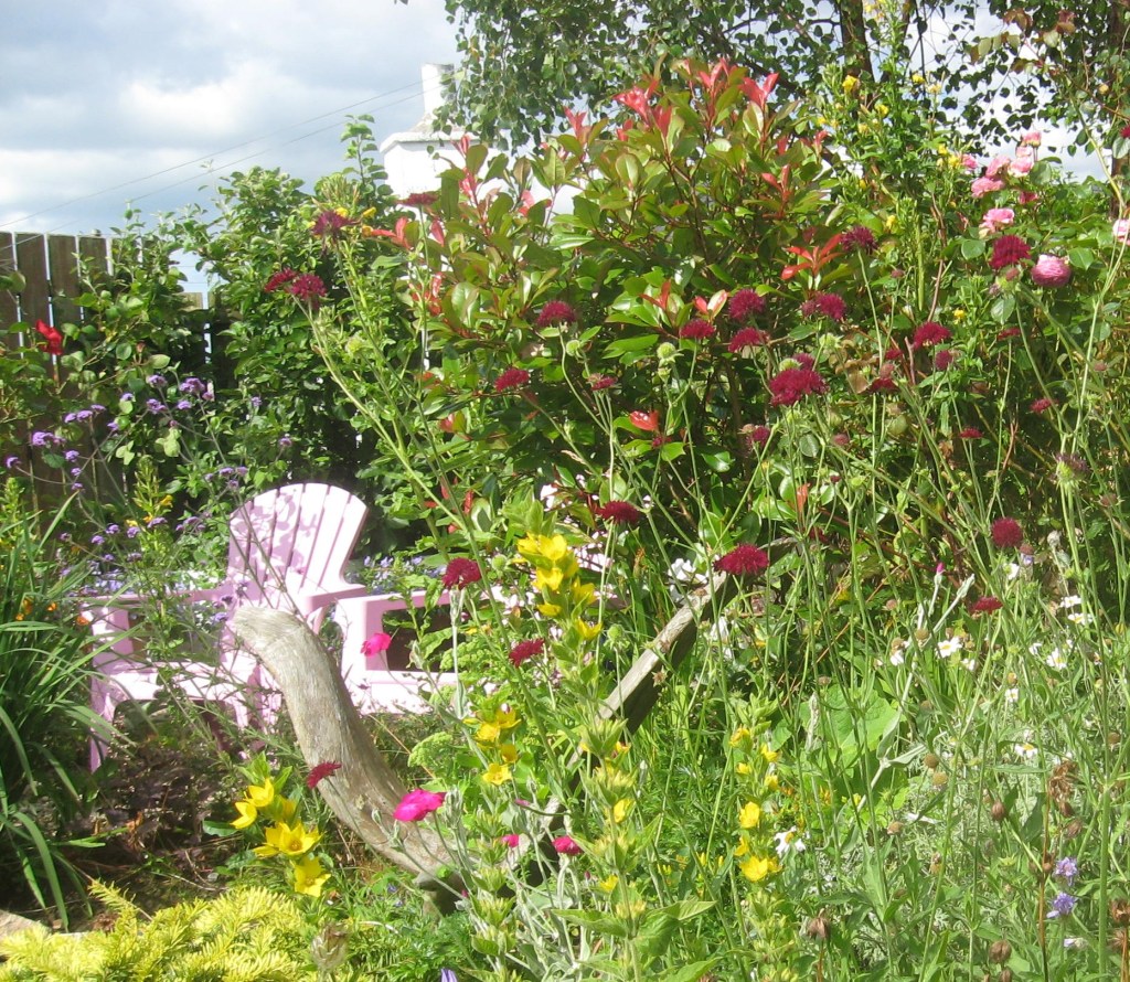 A Year in the Garden&nbsp;2019