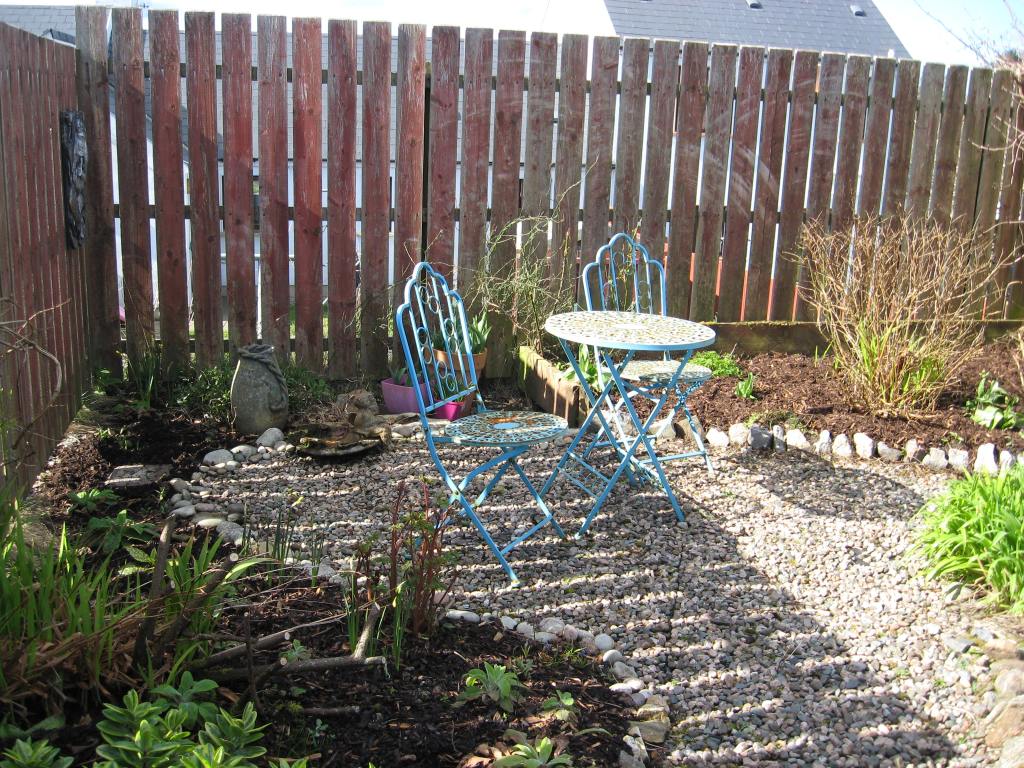 My Donegal Garden in March&nbsp;2020