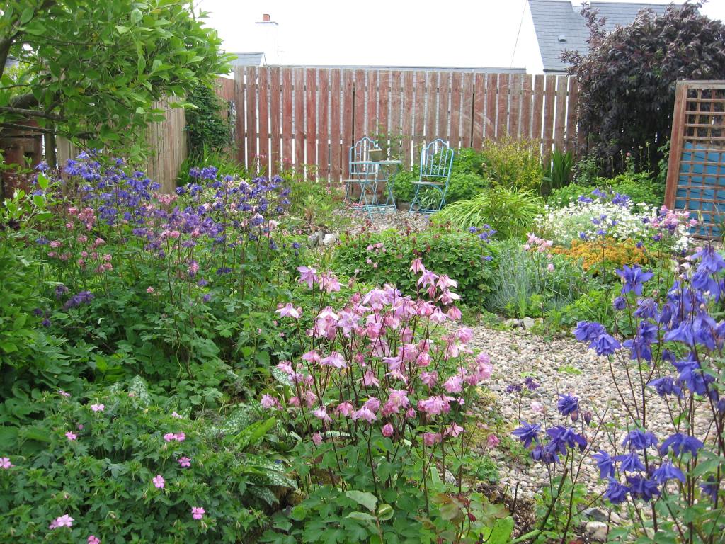 My Donegal Garden – May&nbsp;2020