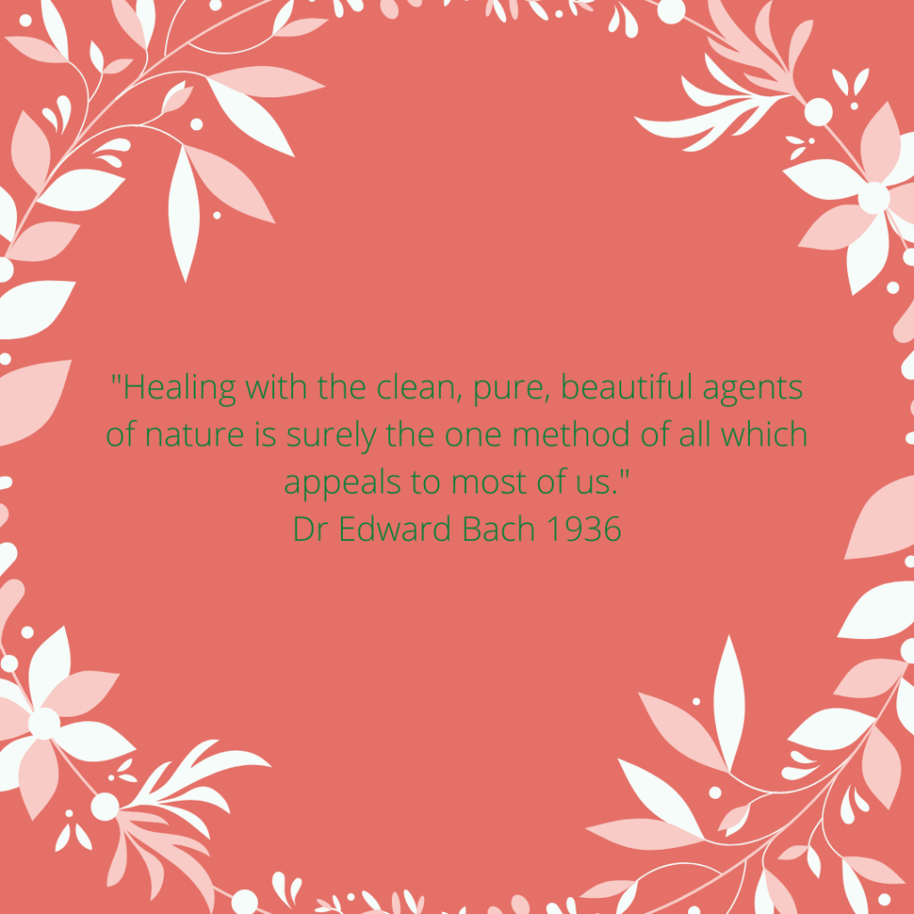 Dr Edward Bach Flower&nbsp;Essences